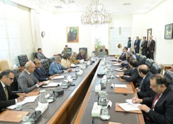 PM Shehbaz chairs meeting with Ambassadors to GCC countries and Iran, reviews economic diplomacy