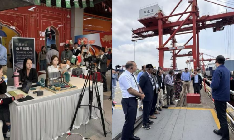 From ports to sky rail and e-commerce: Pakistani delegation explore Hubei's vitality