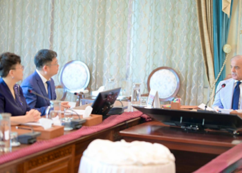 Chinese firm to establish digital economy headquarters in Pakistan: PM Shehbaz welcomes investment push