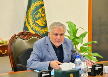 Ishaq Dar chairs SDGs achievement programme meeting, reviews progress