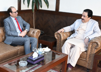 Deputy Chairman Senate calls for stronger institutions, quality education and cultural promotion