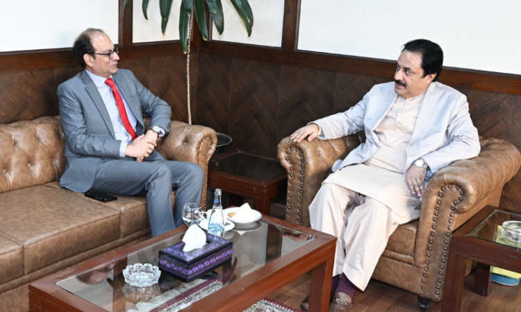 Deputy Chairman Senate calls for stronger institutions, quality education and cultural promotion