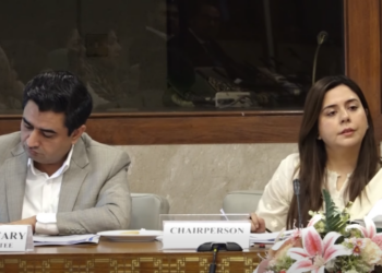 NA panel criticises PIERA over weak regulation of private schools