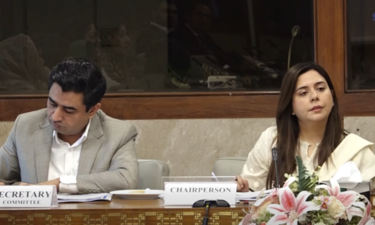 NA panel criticises PIERA over weak regulation of private schools