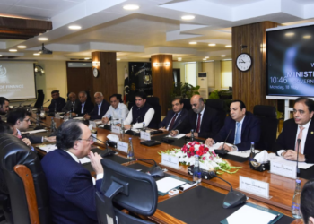 FPCCI delegation meets finance minister, presents budget proposals