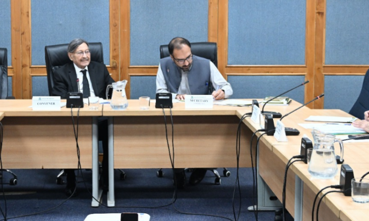 Senate panel directs SBP to submit SOPs on PEPs, FATF regulations