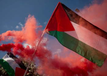 10 countries including Pakistan condemn Israeli assaults on Global Sumud Flotilla