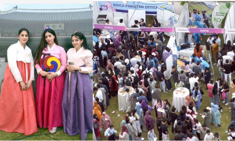 Korean embassy hosts 2026 K-WAVE Festa