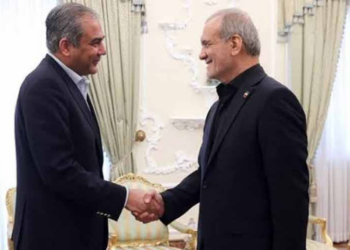 Naqvi holds talks with Iranian President pezeshkian on regional security, ceasefire efforts
