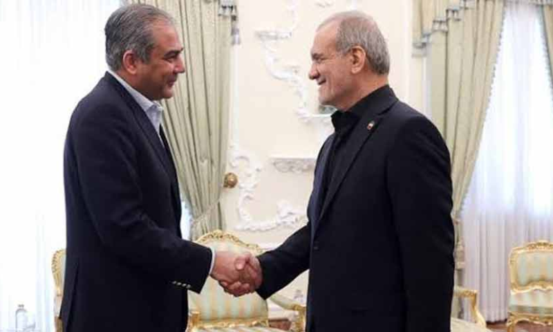 Naqvi holds talks with Iranian President pezeshkian on regional security, ceasefire efforts