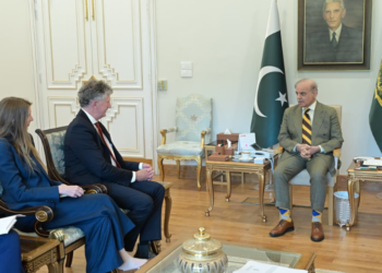 PM Shehbaz meets UK National Security Adviser, reaffirms commitment to stronger bilateral ties