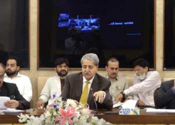 Finance committee raises concerns over proposed immunity clauses in recovery law amendments