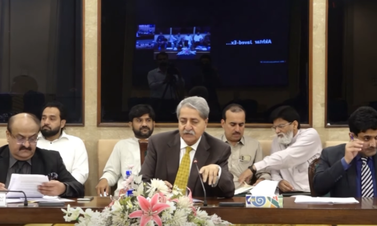 Finance committee raises concerns over proposed immunity clauses in recovery law amendments
