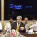 Finance committee raises concerns over proposed immunity clauses in recovery law amendments