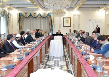 PM Shehbaz reviews IT ministry performance, prioritises digital growth and rural connectivity