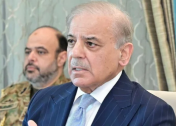 Pakistan’s role in Iran–US mediation has enhanced global image, says PM Shehbaz