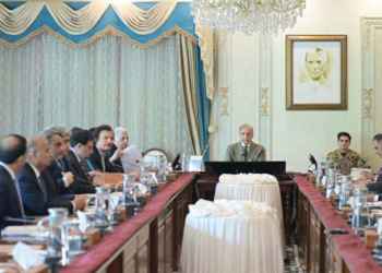 PM Shehbaz chairs meeting on food security, directs uninterrupted fertilizer supply