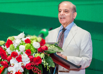 PM Shehbaz highlights agriculture, IT, SEZs and minerals as key areas for Pakistan-China cooperation