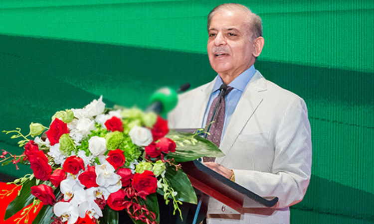 PM Shehbaz highlights agriculture, IT, SEZs and minerals as key areas for Pakistan-China cooperation