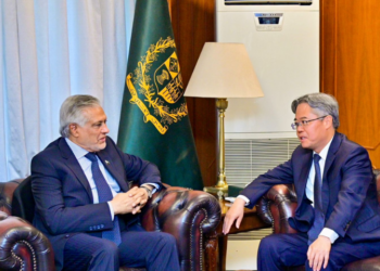 Chinese ambassador calls on Ishaq Dar, reaffirms “all-weather” strategic partnership