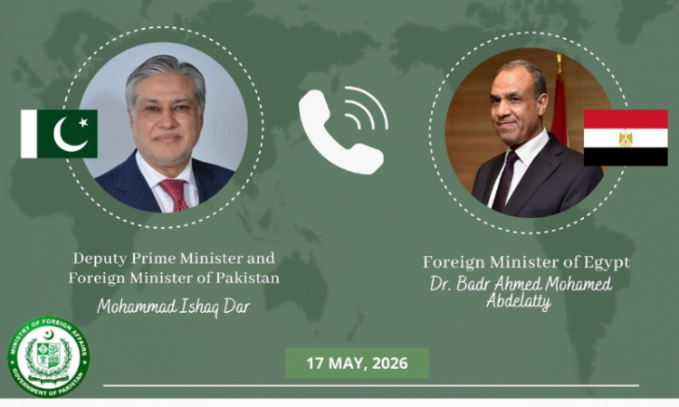 Ishaq Dar, Egyptian FM discuss regional situation, multilateral cooperation