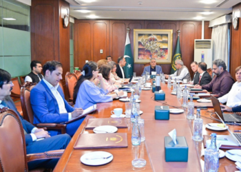 Ishaq Dar reviews performance of Pakistan’s missions abroad