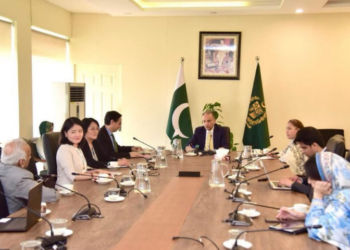 Pakistan, China discuss expanding green finance and technology cooperation