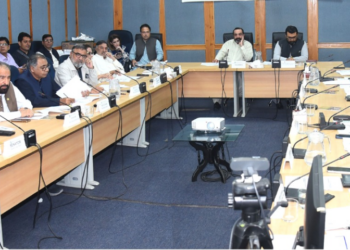 Senate committee reviews fuel stocks, gas supply gaps, LPG pricing and CNG suspension
