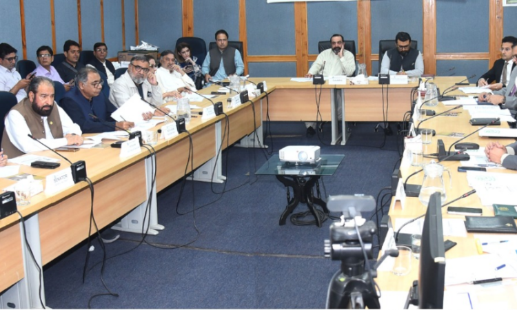 Senate committee reviews fuel stocks, gas supply gaps, LPG pricing and CNG suspension