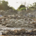 Punjab govt announces rs50,000 fine for dumping animal waste during Eid ul Adha