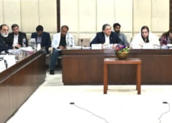Senate committee reviews sovereign wealth fund bill, raises concerns over customs irregularities