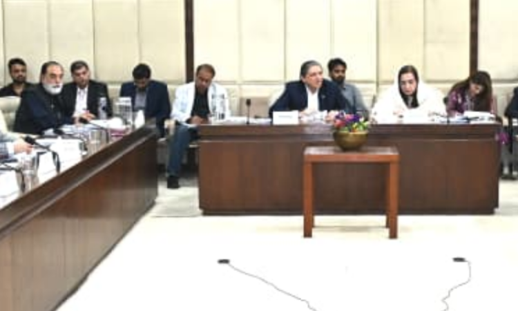 Senate committee reviews sovereign wealth fund bill, raises concerns over customs irregularities