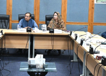 Senate panel calls for urgent infrastructure reforms to boost tourism in Chitral