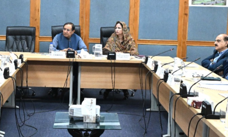 Senate panel calls for urgent infrastructure reforms to boost tourism in Chitral