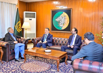 Turkish Ambassador meets Ishaq Dar, conveys Erdogan’s support for Pakistan’s peace efforts