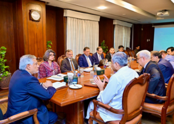 Dar chairs meeting on consular services, emphasises better facilitation for citizens