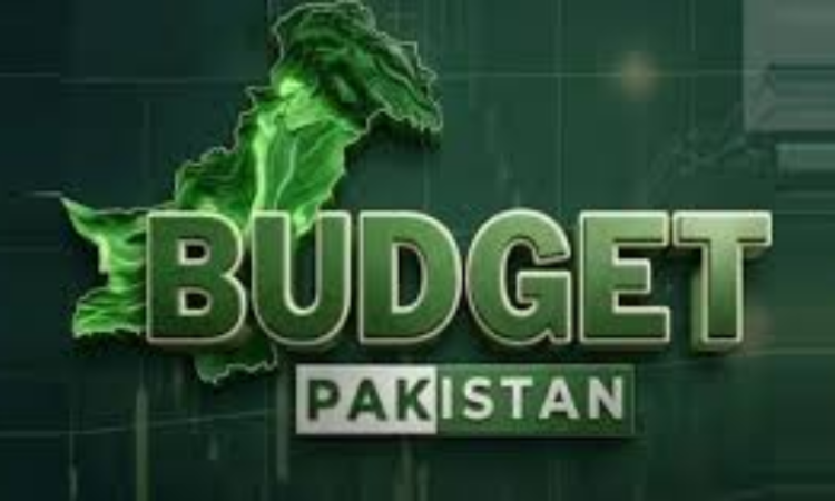 Pakistan’s budget must prioritize human development, climate resilience and SDGs, parliamentary forum urges