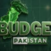 Pakistan’s budget must prioritize human development, climate resilience and SDGs, parliamentary forum urges