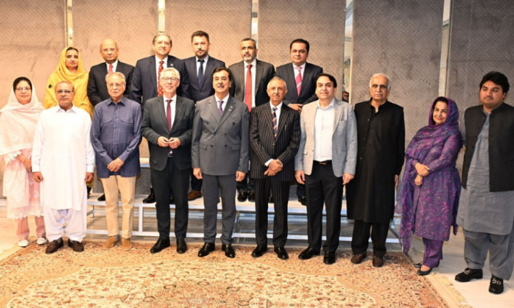 Gilani calls for strengthened Senate role in budgetary oversight