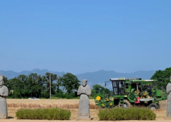 China advances dynamic inheritance of cultural heritage