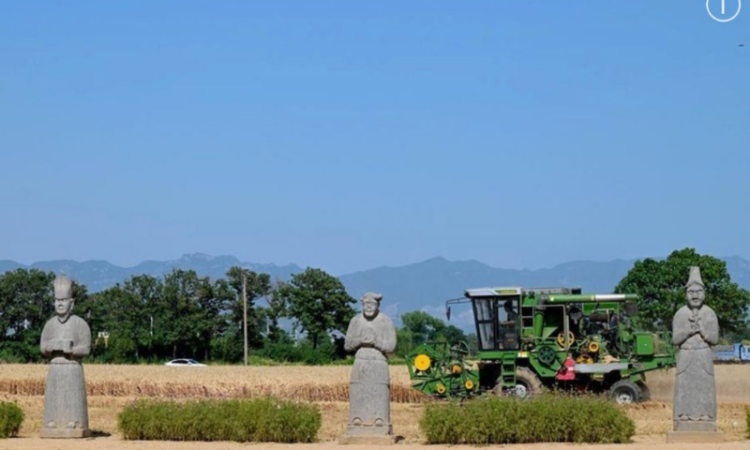 China advances dynamic inheritance of cultural heritage