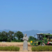 China advances dynamic inheritance of cultural heritage