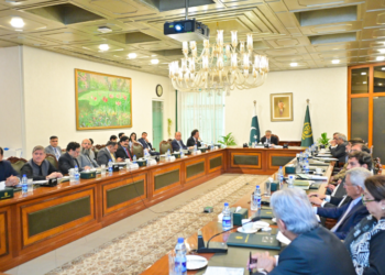 Dar chairs high-level review of auto policy, pushes faster transition to electric vehicles