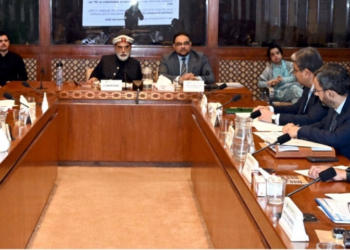 Senate committee reviews PIA legislation, airfare concerns and regional aviation expansion
