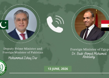 Pakistan, Egypt discuss regional security, back diplomatic efforts for peace