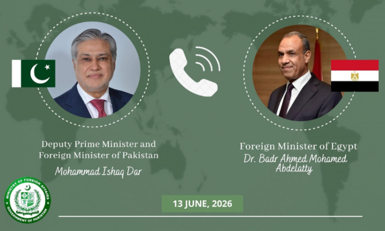 Pakistan, Egypt discuss regional security, back diplomatic efforts for peace