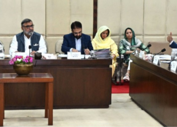 Senate health committee reviews rehabilitation services, PM&DC accountability, maternal health and vape regulation