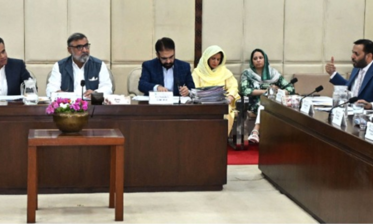 Senate health committee reviews rehabilitation services, PM&DC accountability, maternal health and vape regulation