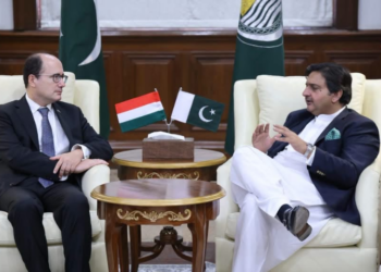 Malik Ahmad Khan meets Hungarian Ambassador at Punjab Assembly