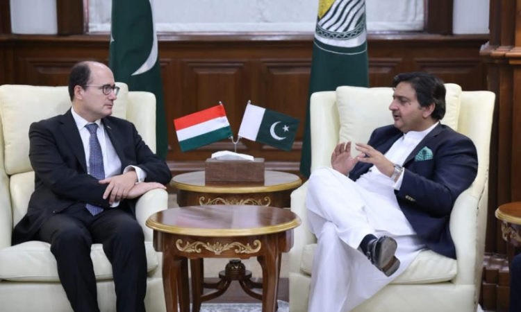 Malik Ahmad Khan meets Hungarian Ambassador at Punjab Assembly